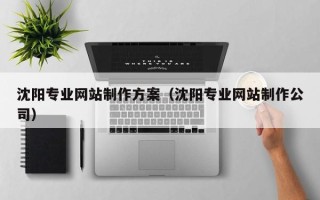 巴音郭楞沈阳专业网站制作方案（沈阳专业网站制作公司）